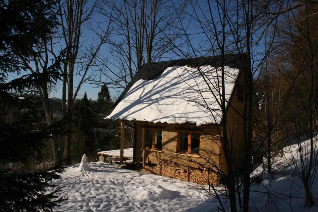 Leszczynowy Stok Villa Lutowiska Exterior photo